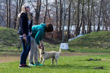 Bild 250 - Frauen MTSV Olympia NMD - SG Ratekau-Strand 08 : Ergebnis: 1:1